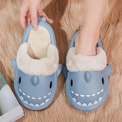 Winter Shark Slides