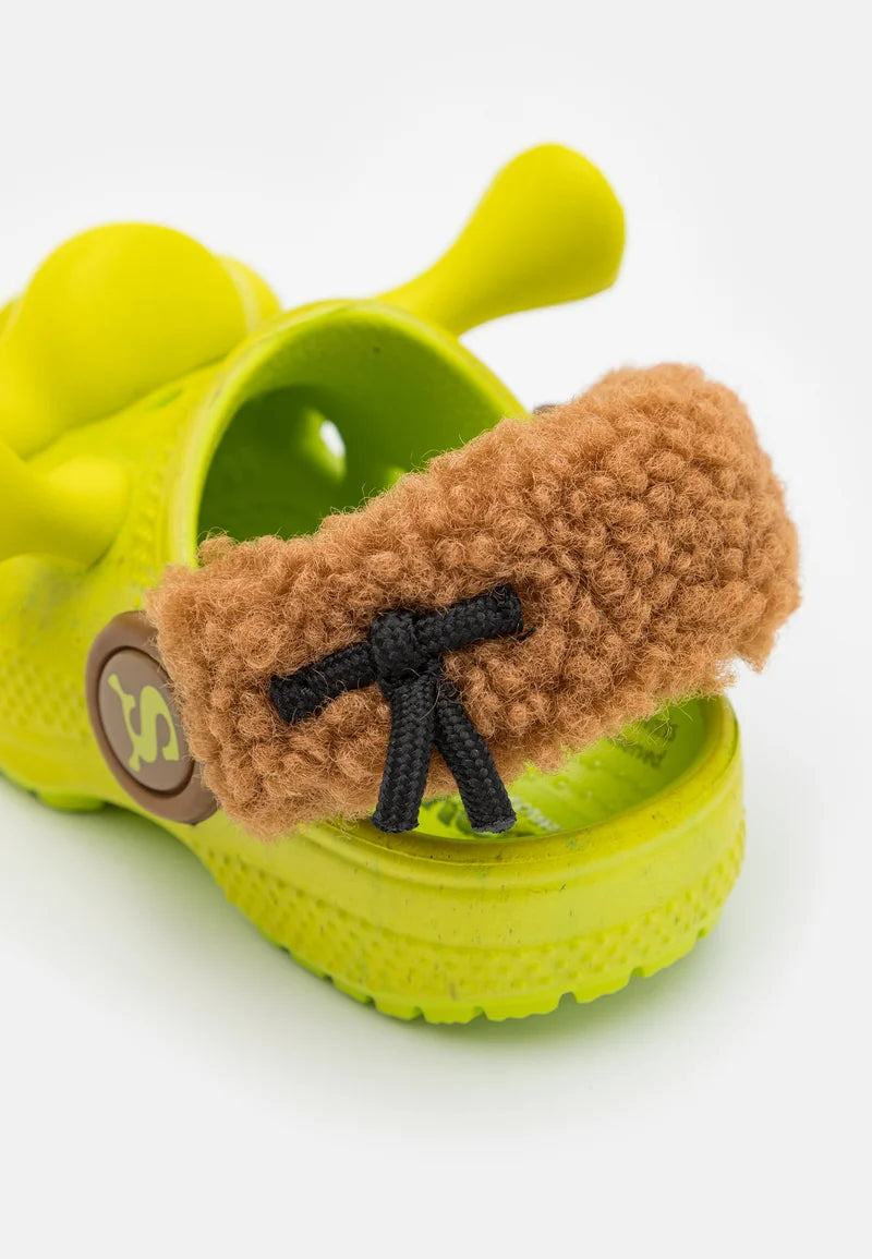 Shrek Slides