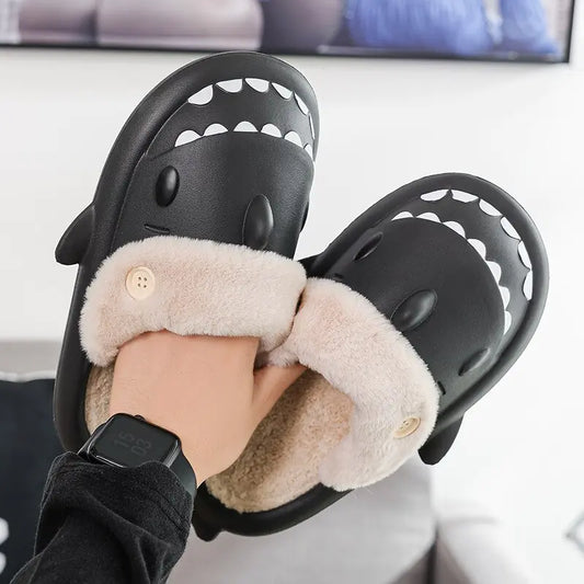 Winter Shark Slides